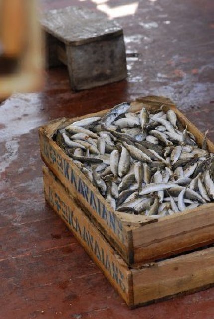 1463608-el-pescado-en-una-caja-de-madera.jpg