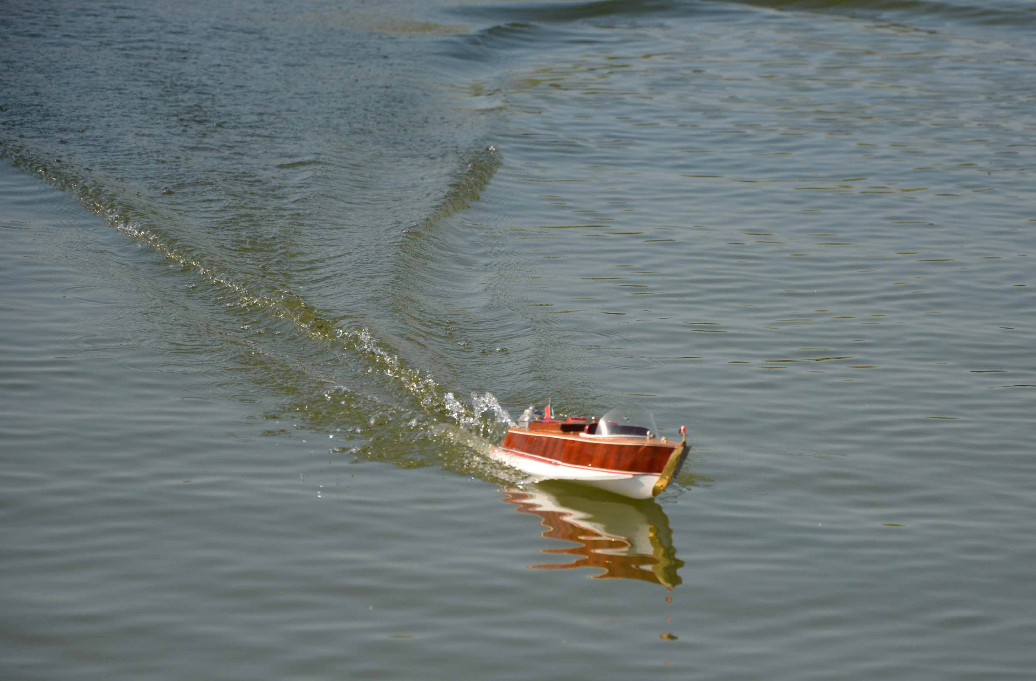 DSC_0980.jpg