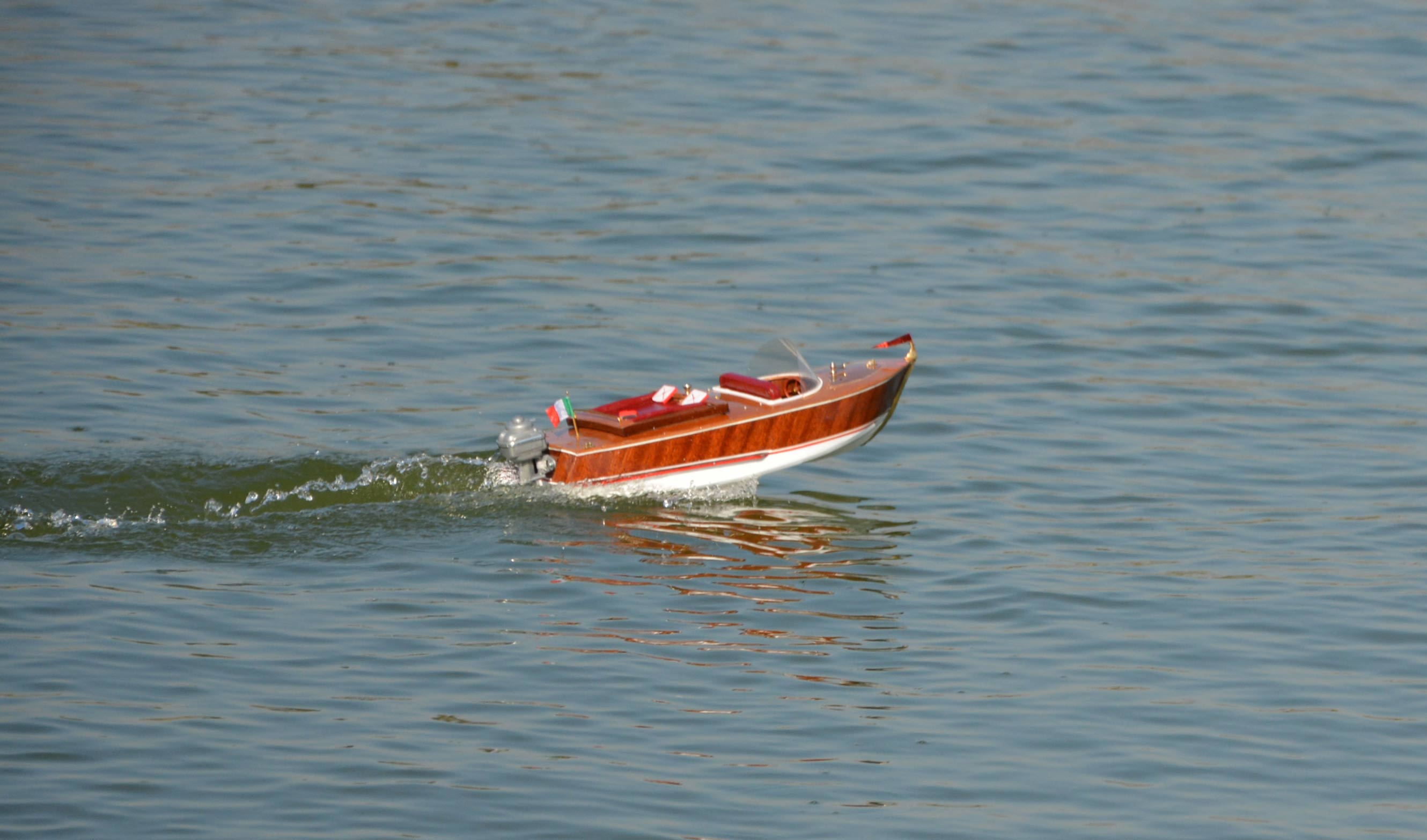DSC_1006.jpg