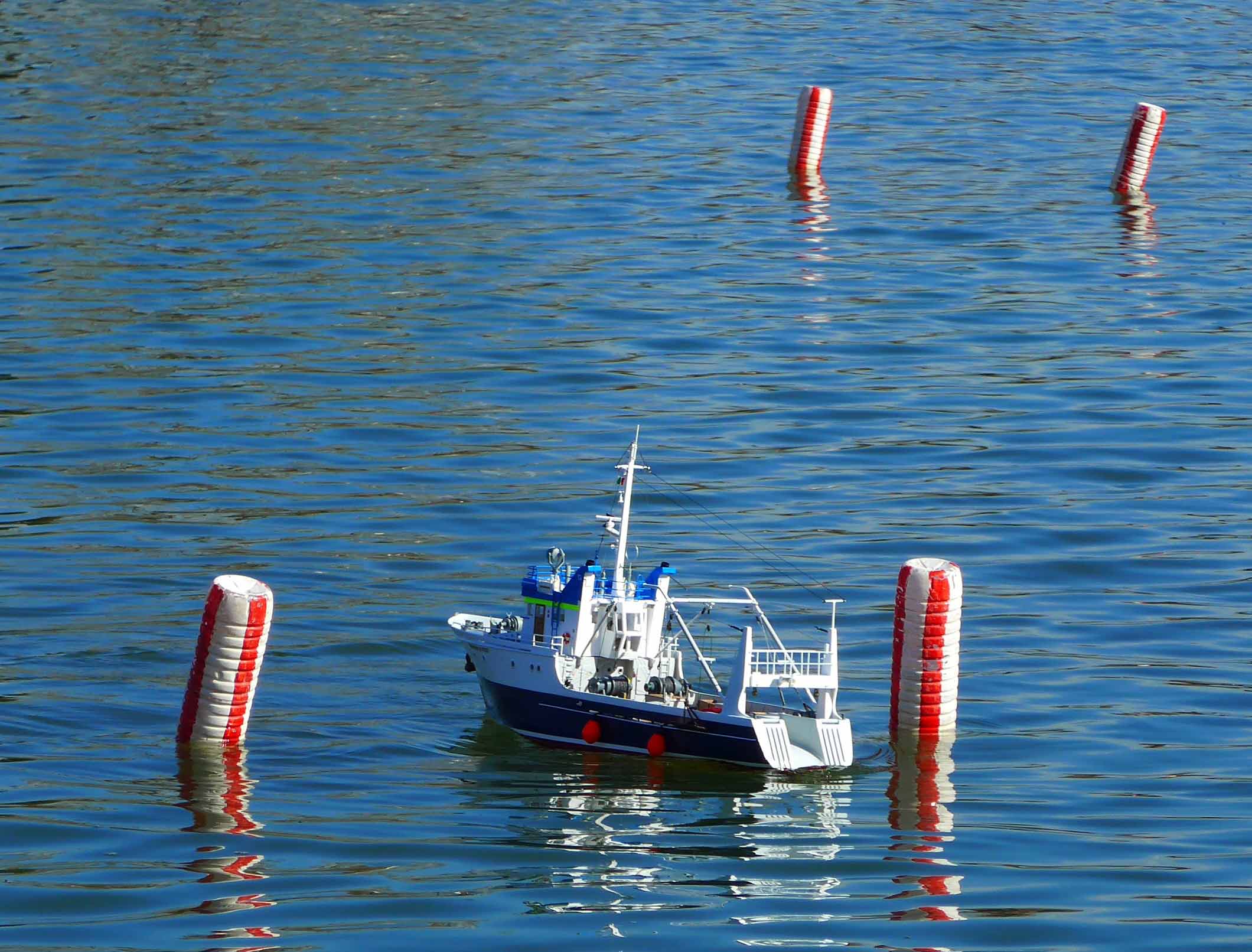 P1000737.JPG