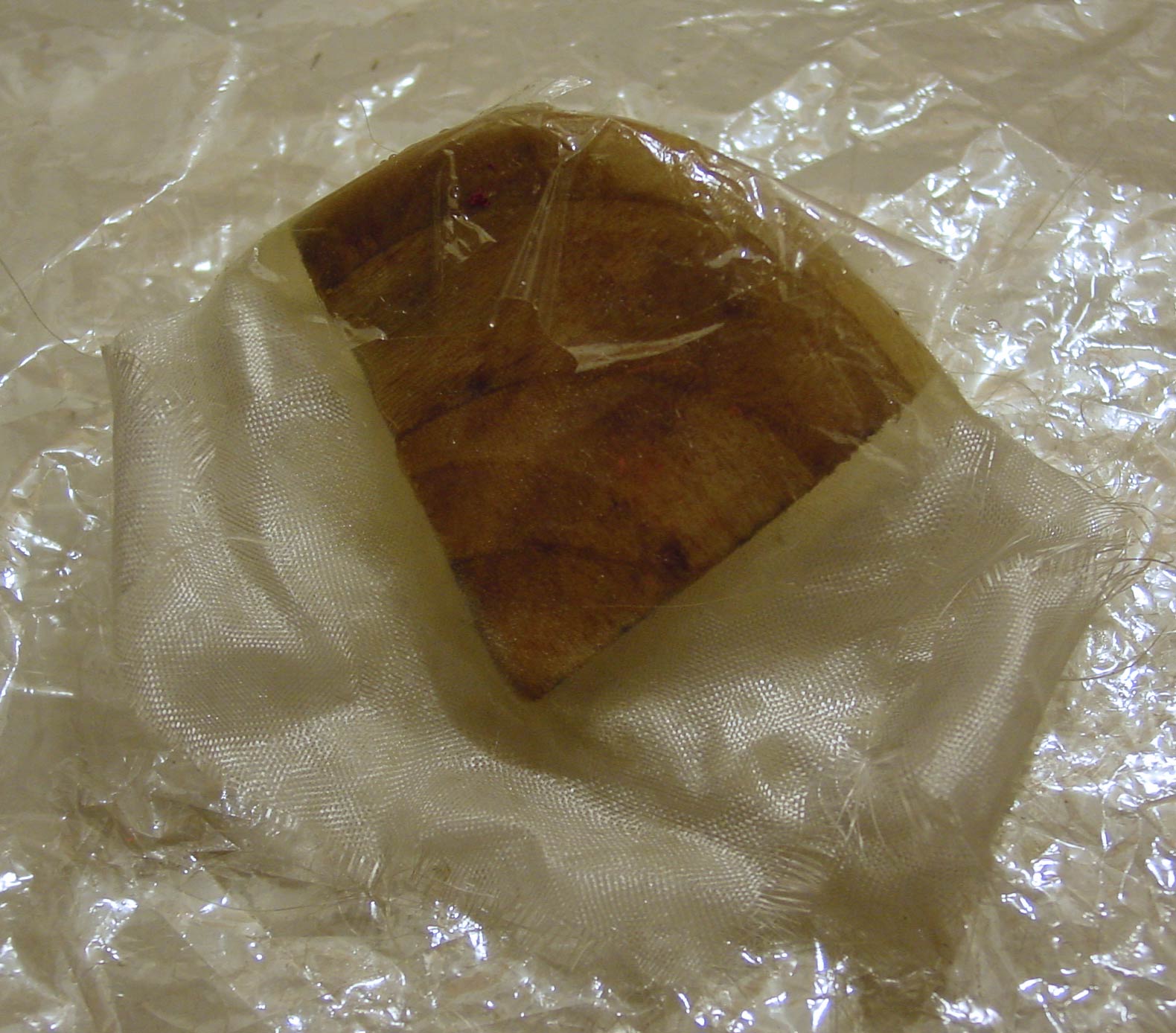 DSC02572.jpg
