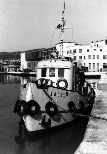 Rimorchiatore Audax 0.jpg